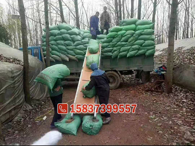 装车皮带输送机