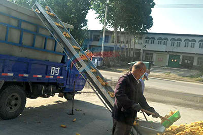 小型家用玉米棒子输送机